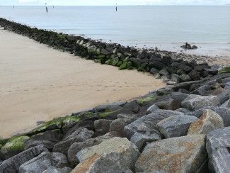 CHERLOC project: coastal engineering and marine biodiversity CHERLOC project: coastal engineering and marine biodiversity