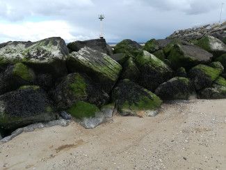 CHERLOC project: coastal engineering and marine biodiversity CHERLOC project: coastal engineering and marine biodiversity