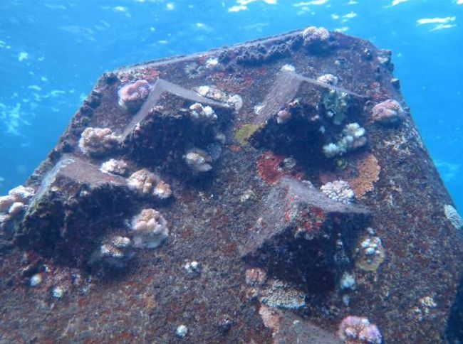 ACCROPODE™ II after 3 years in the water ACCROPODE™ II after 3 years in the water